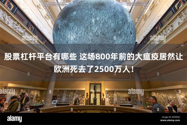 股票杠杆平台有哪些 这场800年前的大瘟疫居然让欧洲死去了2500万人！