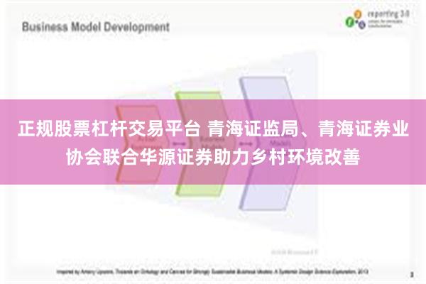 正规股票杠杆交易平台 青海证监局、青海证券业协会联合华源证券助力乡村环境改善