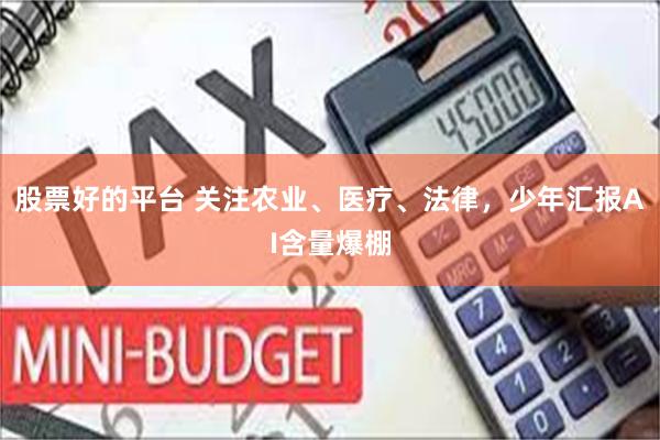 股票好的平台 关注农业、医疗、法律，少年汇报AI含量爆棚