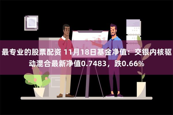 最专业的股票配资 11月18日基金净值：交银内核驱动混合最新净值0.7483，跌0.66%