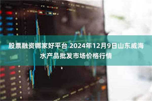 股票融资哪家好平台 2024年12月9日山东威海水产品批发市场价格行情