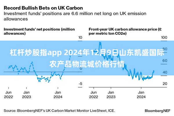 杠杆炒股指app 2024年12月9日山东凯盛国际农产品物流城价格行情
