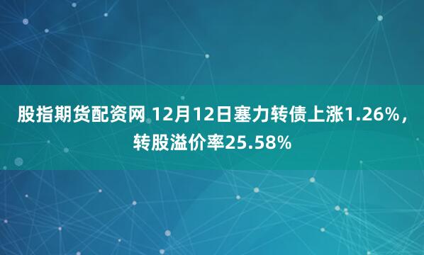 股指期货配资网 12月12日塞力转债上涨1.26%，转股溢价率25.58%