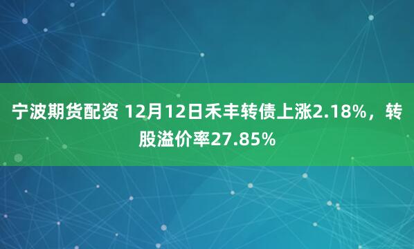 宁波期货配资 12月12日禾丰转债上涨2.18%，转股溢价率27.85%