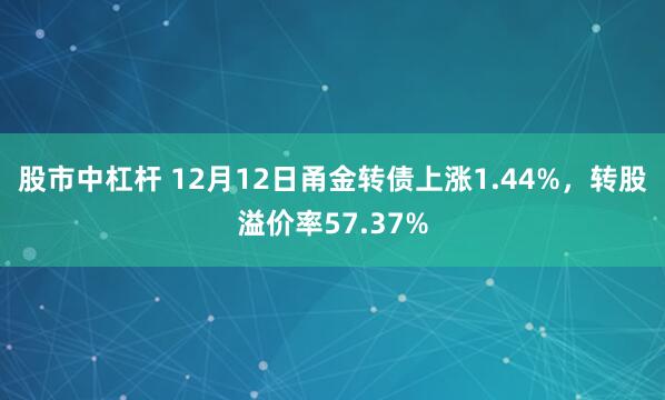 股市中杠杆 12月12日甬金转债上涨1.44%，转股溢价率57.37%