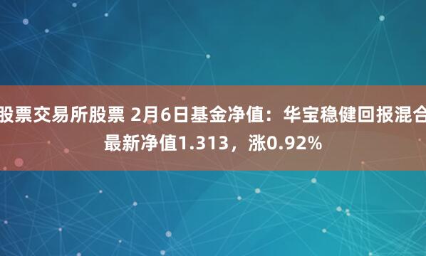 股票交易所股票 2月6日基金净值：华宝稳健回报混合最新净值1.313，涨0.92%