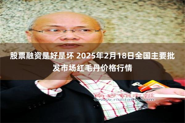 股票融资是好是坏 2025年2月18日全国主要批发市场红毛丹价格行情