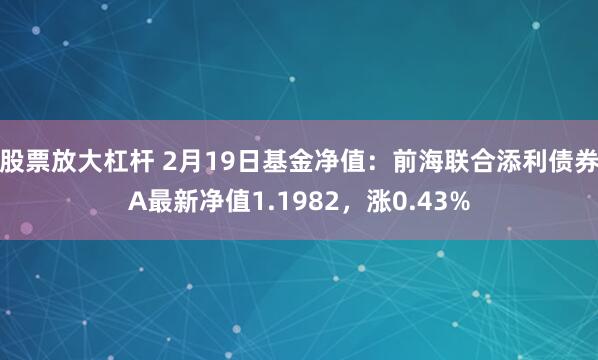 股票放大杠杆 2月19日基金净值：前海联合添利债券A最新净值1.1982，涨0.43%