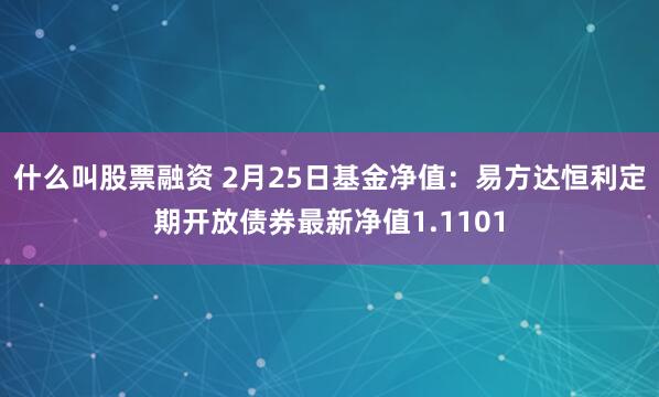 什么叫股票融资 2月25日基金净值：易方达恒利定期开放债券最新净值1.1101